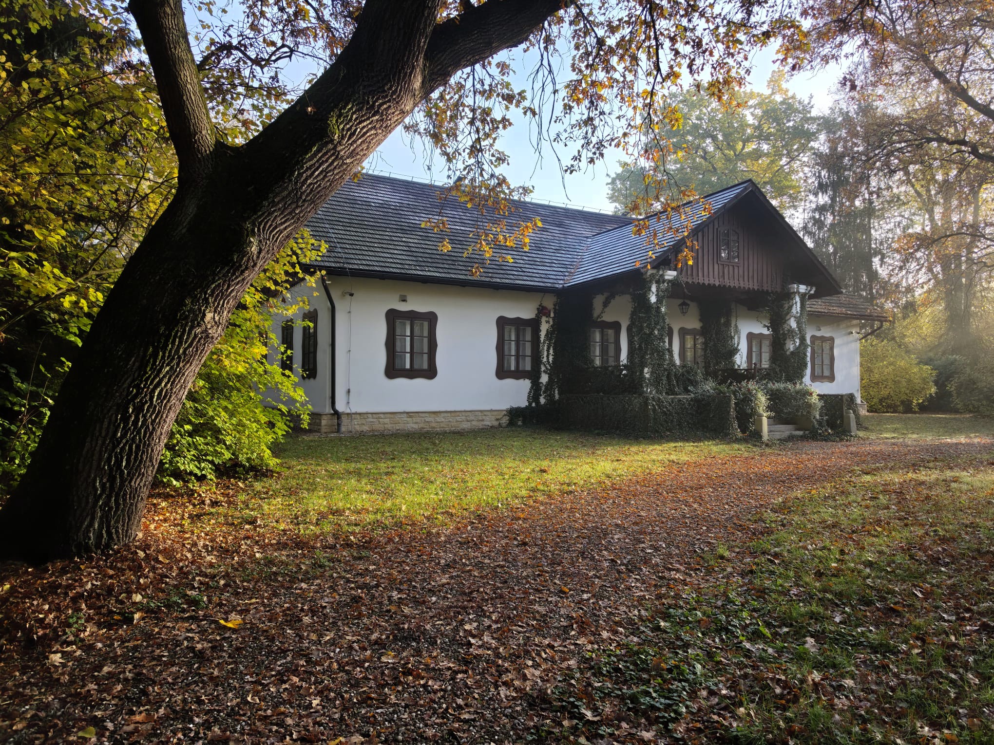 Muzeum Dwór w Dołędze