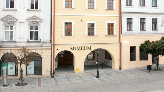 Siedziba Muzeum Ziemi Tarnowskije