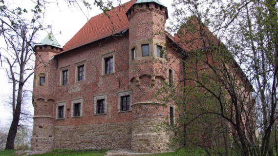 The Castle in Dębno