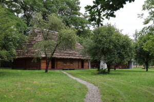 Widok na drewniany budynek pokryty strzechą - Muzeum Dwór w Dołędze.